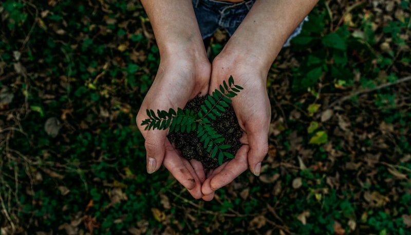 Natureza e Reciclagem